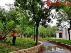 【建筑垃圾】建筑垃圾變身再生骨料，只差一臺移動破碎機！